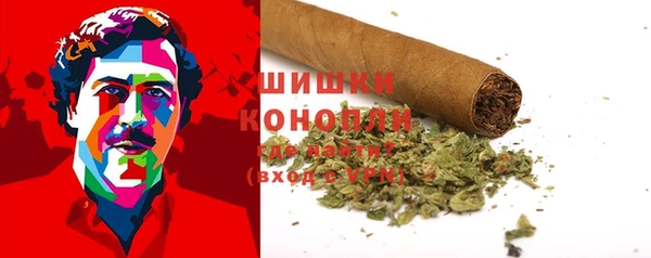 соль ск Арсеньев