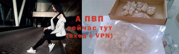 Альфа ПВП Аркадак