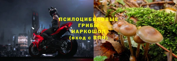 Альфа ПВП Аркадак