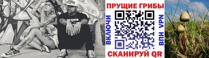 Псилоцибиновые грибы MAGIC MUSHROOMS Калининск